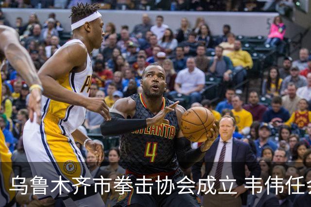 乌鲁木齐市拳击协会成立 韦伟任会长